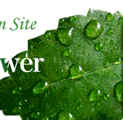 花門　life with Green&Flower