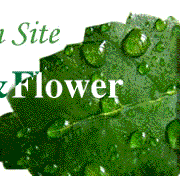 花門　life with Green&Flower